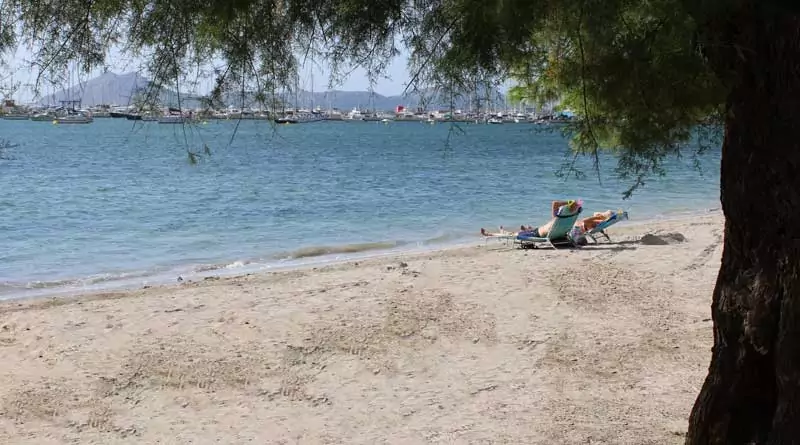 Strand Puerto Pollenca