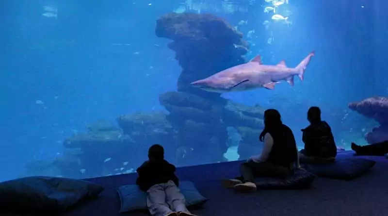 Palma Aquarium